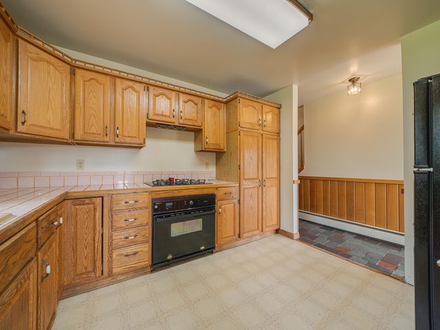 62 Mountain Meadows Way Road, Long Lake, NY 12847