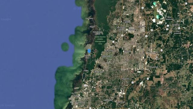 3487 BLUEFISH DRIVE, Hernando Beach, FL 34607