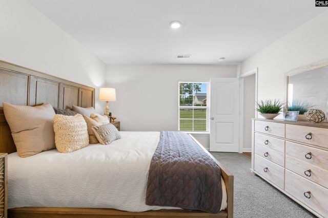 189 Calm Citadel Drive, Pelion, SC 29123