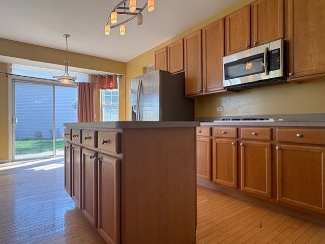4827 W Pebble Beach Drive, Wadsworth, IL 60083