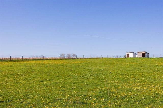 8885 Burmeister Road, Saline, MI 48176