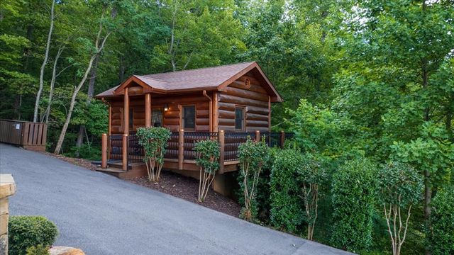 373 Rising Star Lane, Mineral Bluff, GA 30559