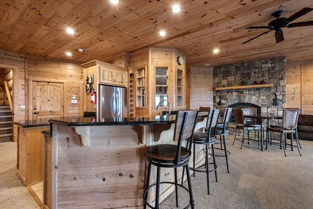 373 Rising Star Lane, Mineral Bluff, GA 30559