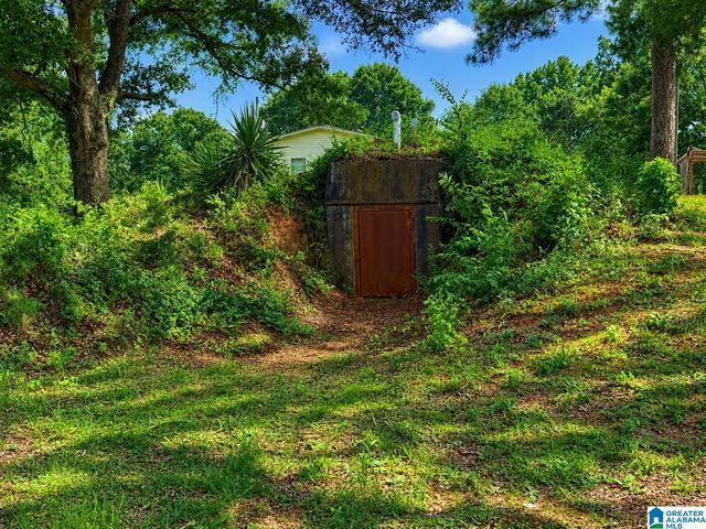24480 ALABAMA HIGHWAY 21, Talladega, AL 35160