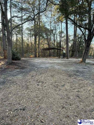 304 Sliding Hill, Cheraw, SC 29520