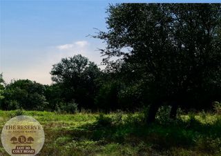 Lot 30 Colt Road, Springtown, TX 76082