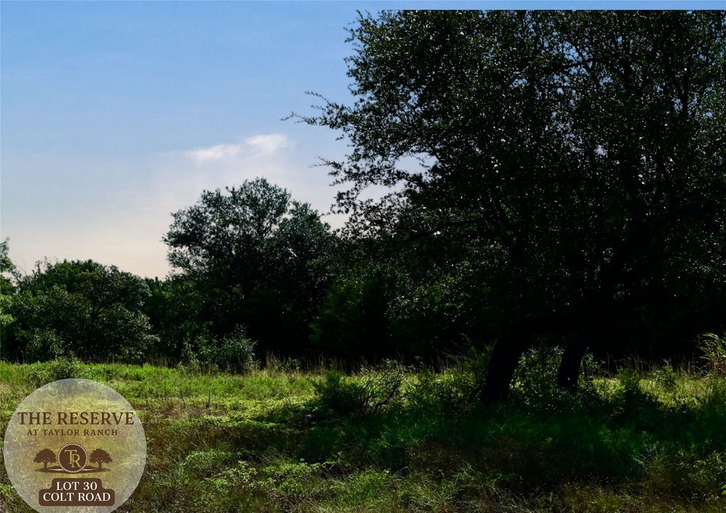 Lot 30 Colt Road, Springtown, TX 76082
