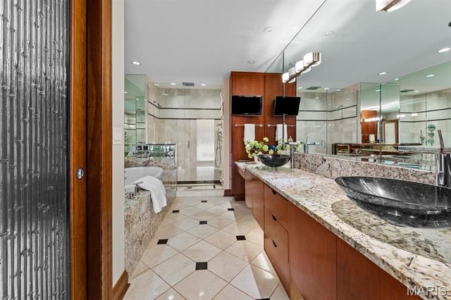 232 N Kingshighway Boulevard 1903, St Louis, MO 63108