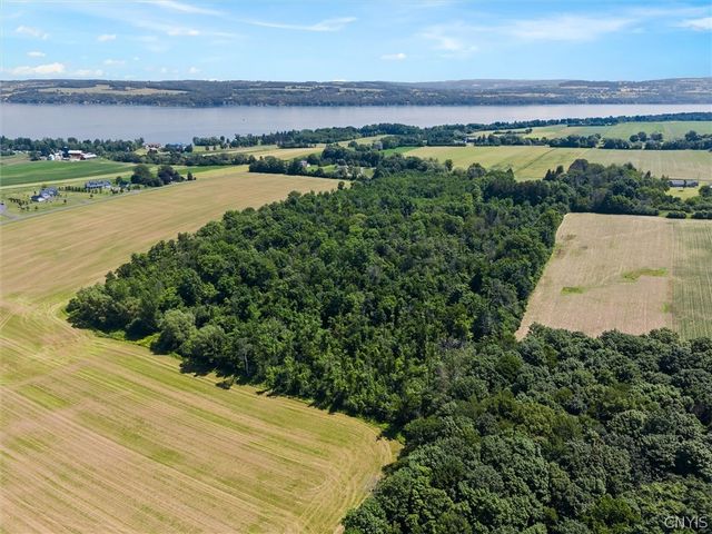 1631 Albring Road, Skaneateles, NY 13152