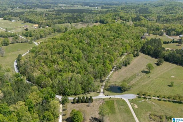 895 POPLAR SPRINGS TRAIL, Ashville, AL 35953