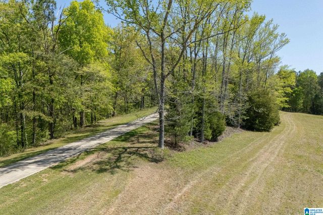 895 POPLAR SPRINGS TRAIL, Ashville, AL 35953
