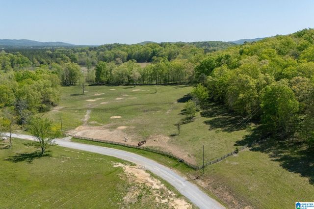 895 POPLAR SPRINGS TRAIL, Ashville, AL 35953