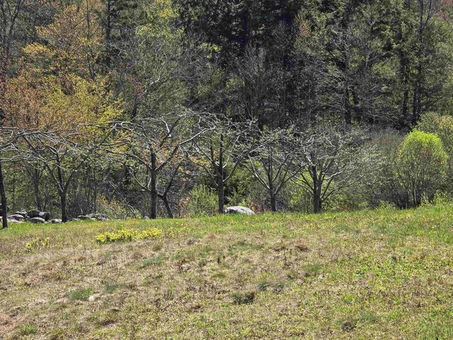 847 Simonsville Road, Andover, VT 05143