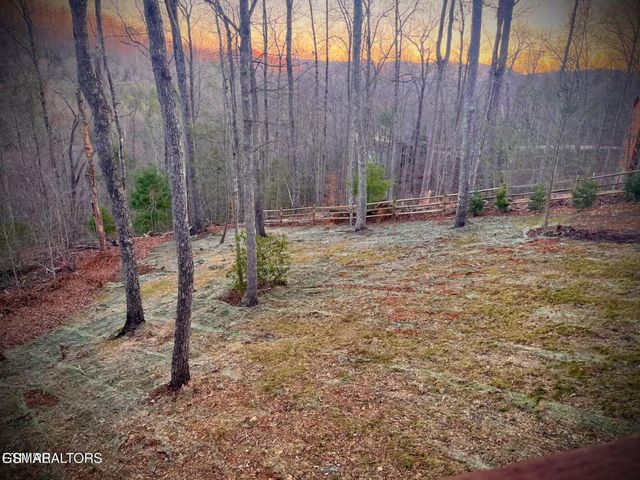 410 Buena Vista Drive, Sevierville, TN 37876