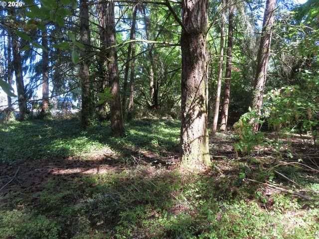 8021 Afflerbaugh Ct Se, Lacey, WA 98503