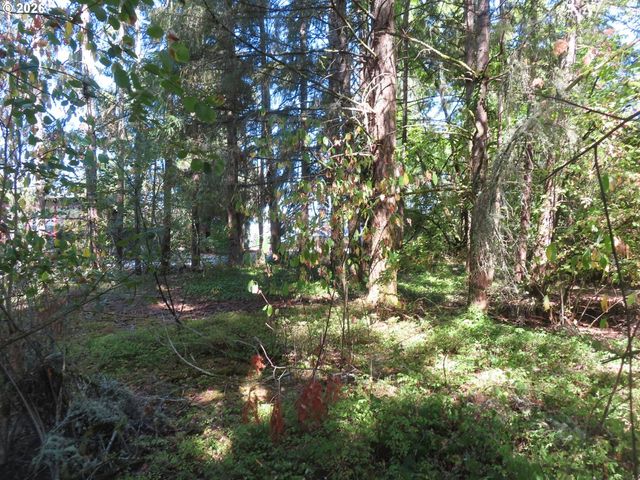8021 Afflerbaugh Ct Se, Lacey, WA 98503