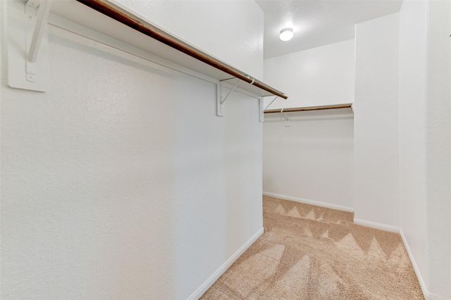 24810 Lorenzo Glaze Trail, Katy, TX 77493