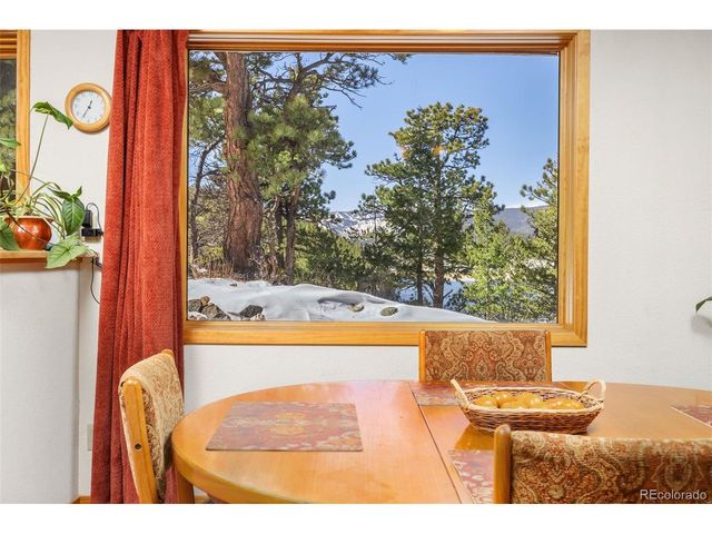 253 Alpine Dr, Nederland, CO 80466