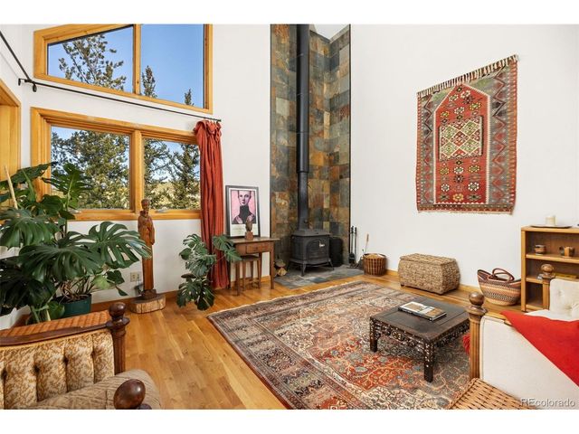 253 Alpine Dr, Nederland, CO 80466