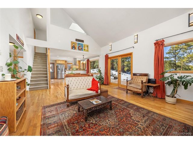 253 Alpine Dr, Nederland, CO 80466