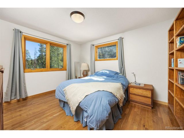 253 Alpine Dr, Nederland, CO 80466