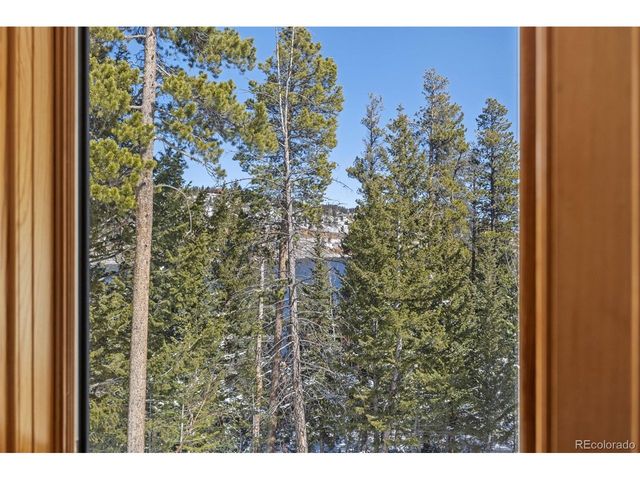 253 Alpine Dr, Nederland, CO 80466