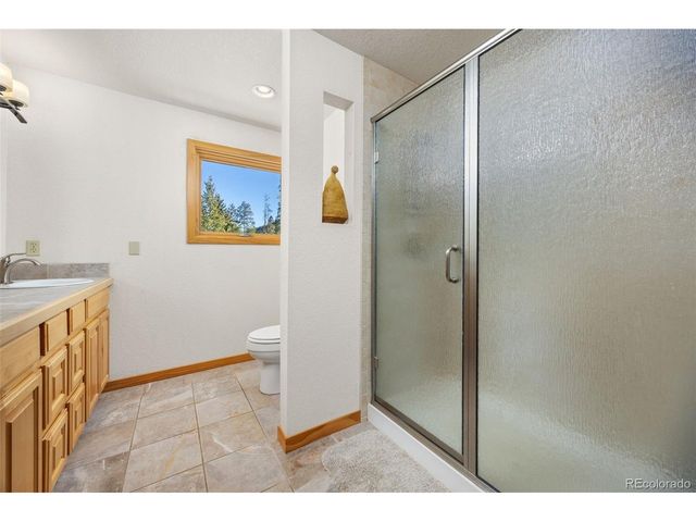 253 Alpine Dr, Nederland, CO 80466