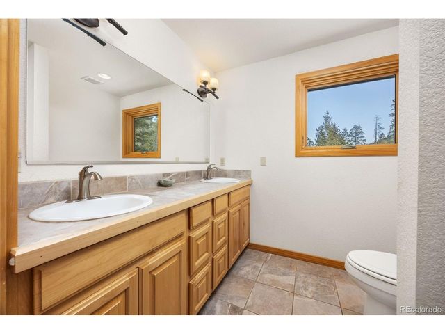 253 Alpine Dr, Nederland, CO 80466
