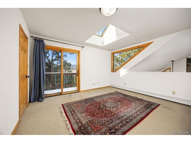 253 Alpine Dr, Nederland, CO 80466