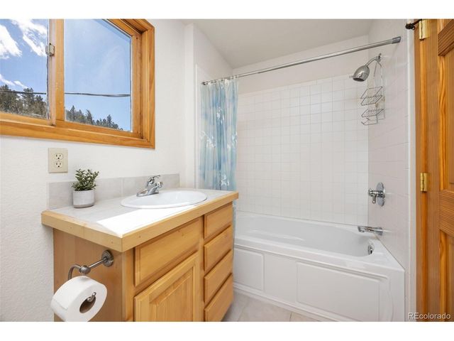 253 Alpine Dr, Nederland, CO 80466