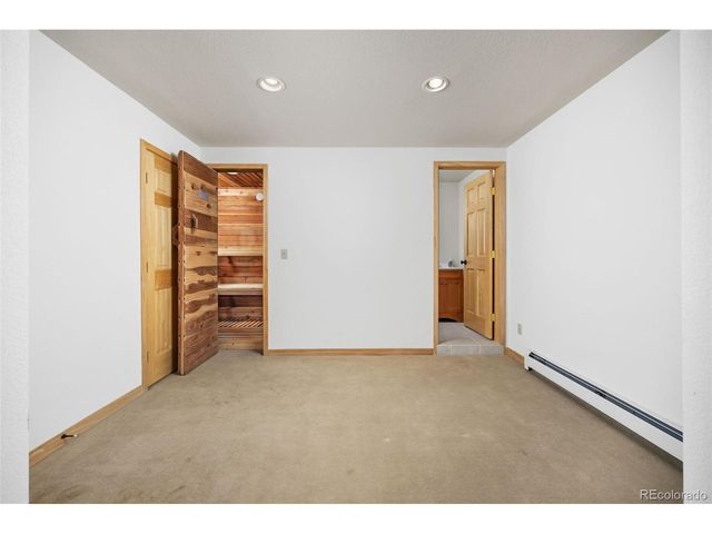 253 Alpine Dr, Nederland, CO 80466