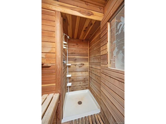 253 Alpine Dr, Nederland, CO 80466