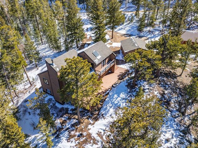 253 Alpine Dr, Nederland, CO 80466