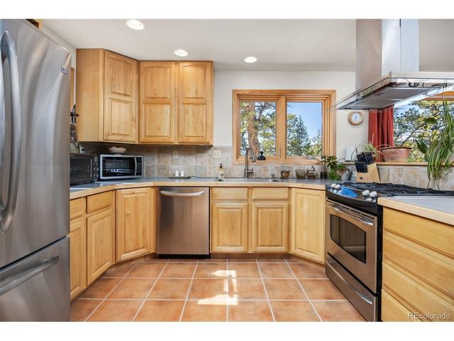 253 Alpine Dr, Nederland, CO 80466