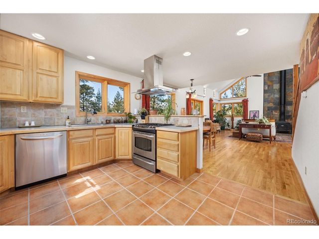 253 Alpine Dr, Nederland, CO 80466