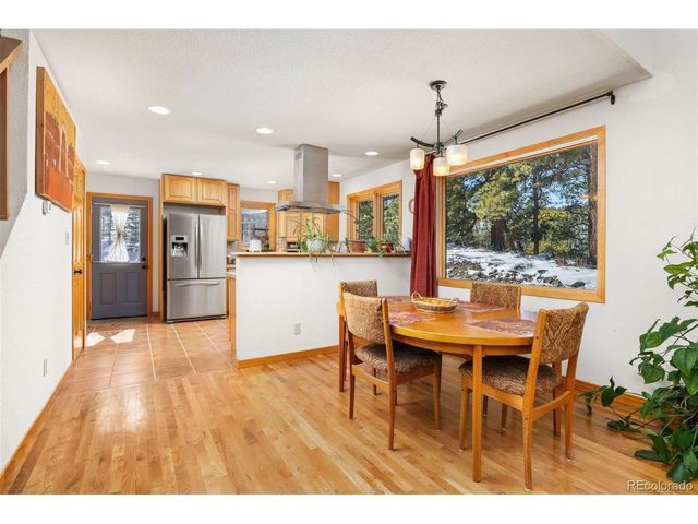 253 Alpine Dr, Nederland, CO 80466