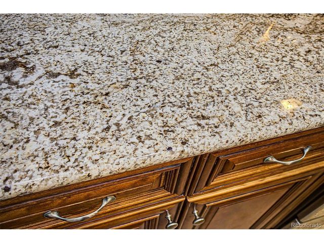 9972 Appletree Pl, Thornton, CO 80260