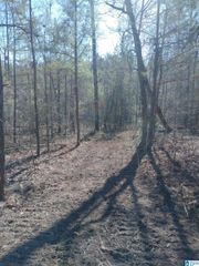 4 SWEET APPLE ROAD, Pell City, AL 35128