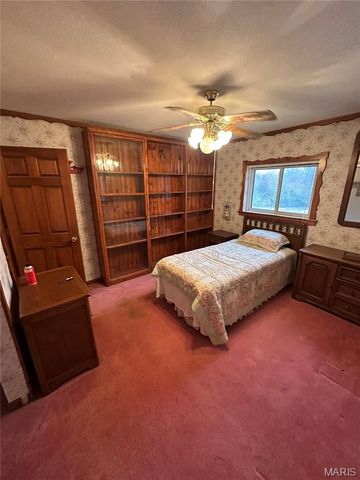 594 Blanche Drive, St Charles, MO 63303