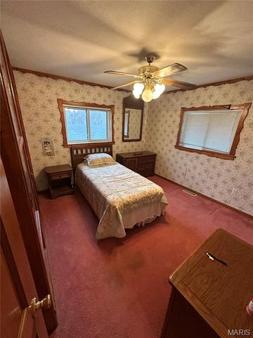 594 Blanche Drive, St Charles, MO 63303