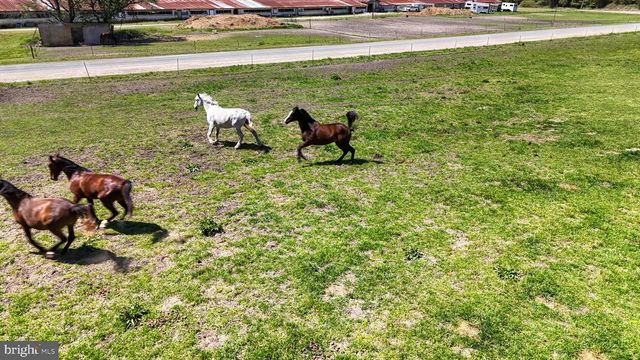 33096 JOHNSON RD, Salisbury, MD 21804