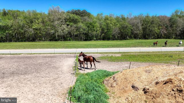 33096 JOHNSON RD, Salisbury, MD 21804