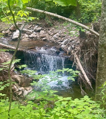 11820 State Highway 197 None S, Burnsville, NC 28714