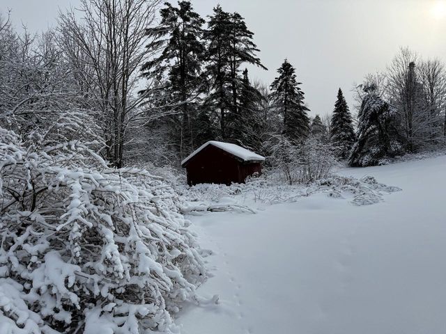 571 Bliss Road, Woodbury, VT 05681