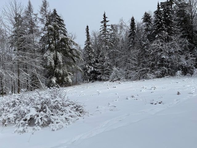 571 Bliss Road, Woodbury, VT 05681