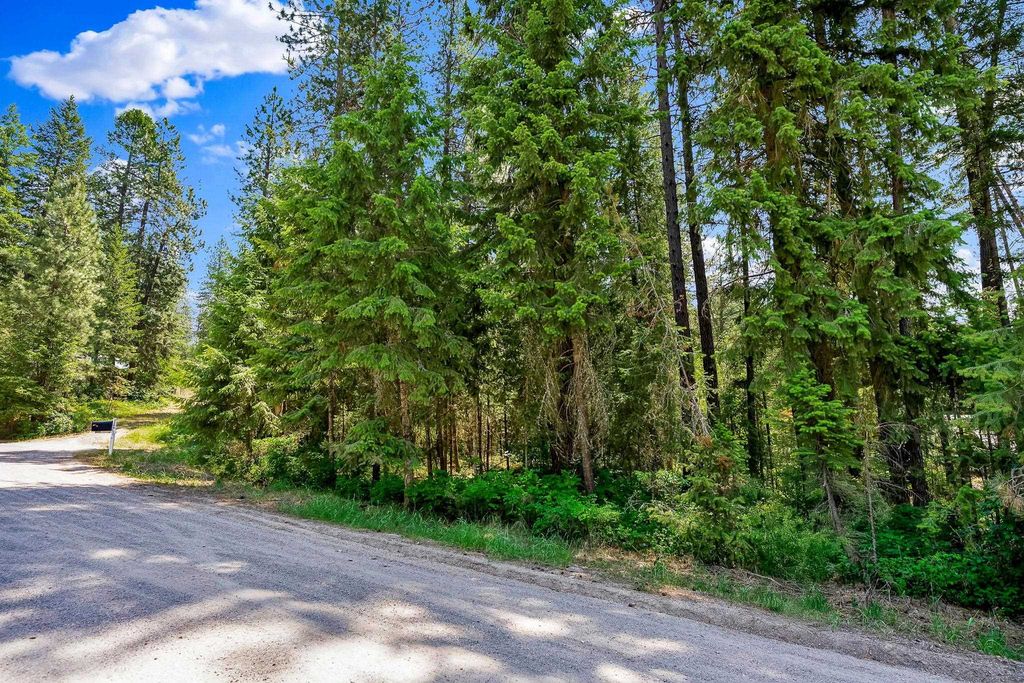 3264 Shady Ct, Valley, WA 99181 photo 3