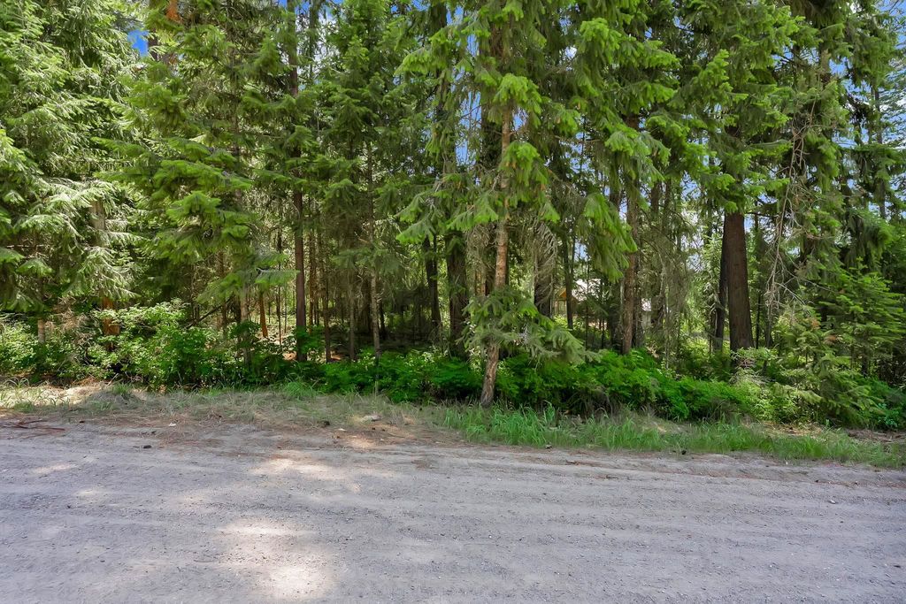 3264 Shady Ct, Valley, WA 99181 photo 5