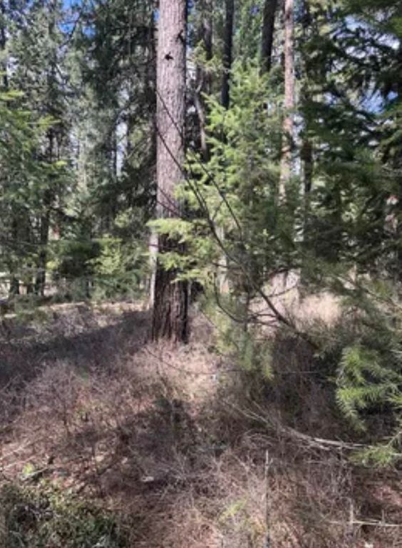 3264 Shady Ct, Valley, WA 99181 photo 8