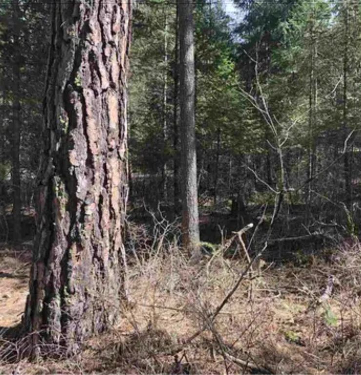 3264 Shady Ct, Valley, WA 99181 photo 9