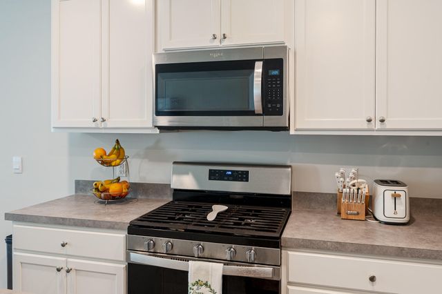 133 Orchid Bloom Circle, Moncks Corner, SC 29461